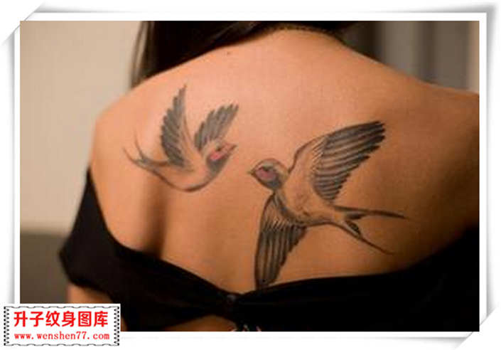美女背上燕子纹身