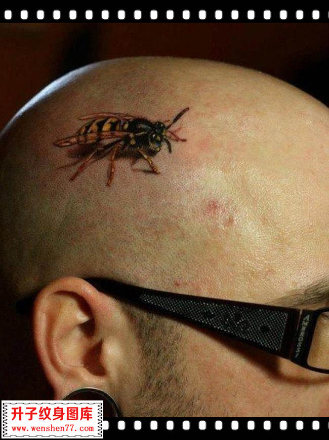 头部写实蜜蜂纹身