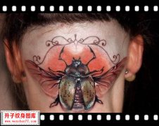 <b><font color='#FF0000'>头部纹身 昆虫纹身图案</font></b>