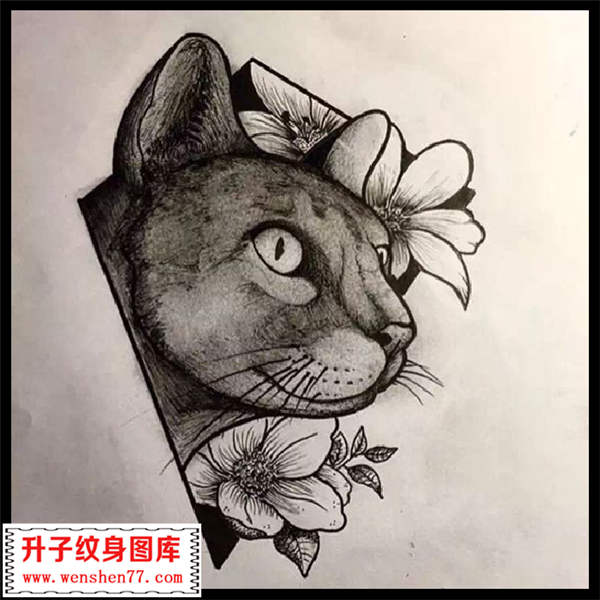 几何猫纹身手稿