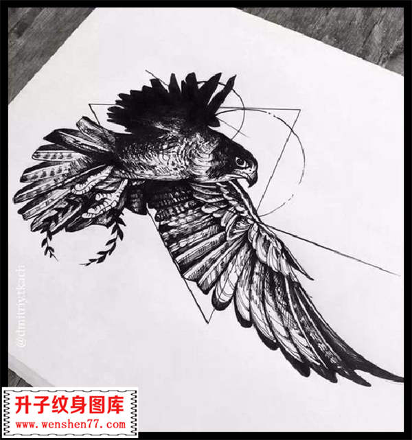 乌鸦纹身手稿