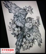 <b><font color='#FF0000'>动物图案 鸟纹身手稿 图片大全</font></b>