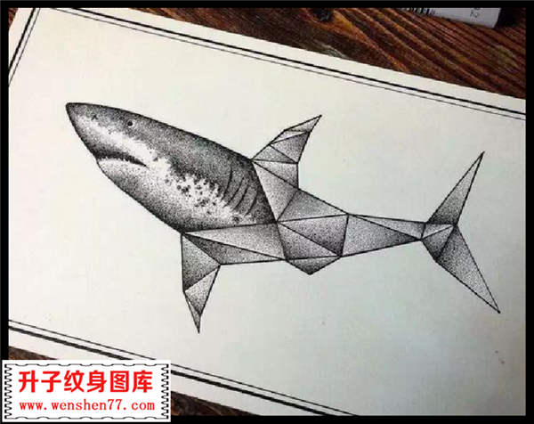 几何点刺鲨鱼纹身手稿