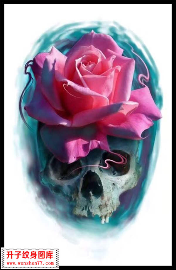 骷髅头彩色玫瑰花纹身手稿