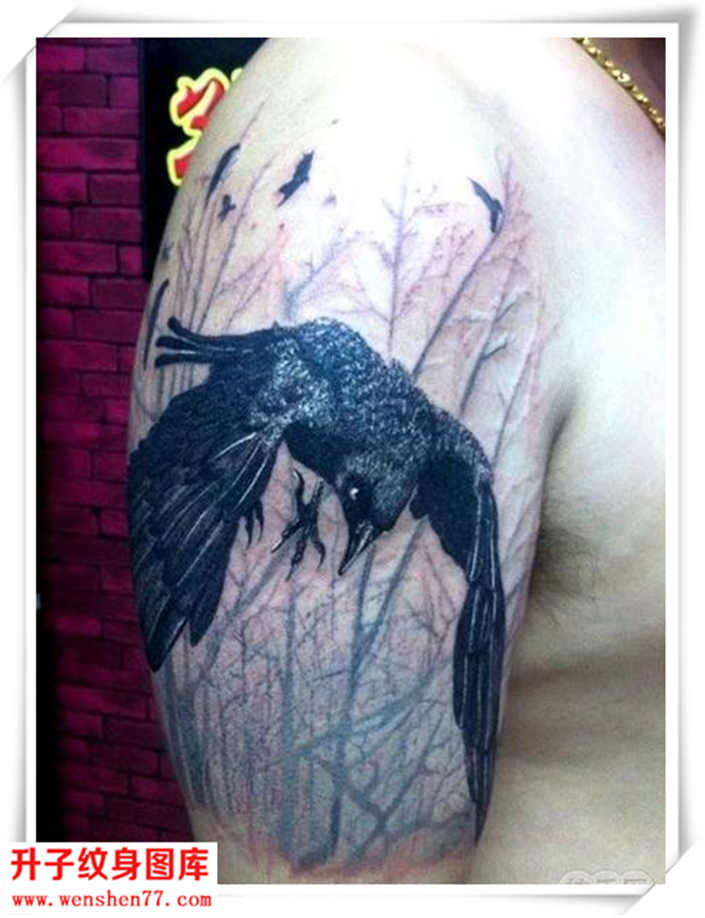 手臂乌鸦纹身图案