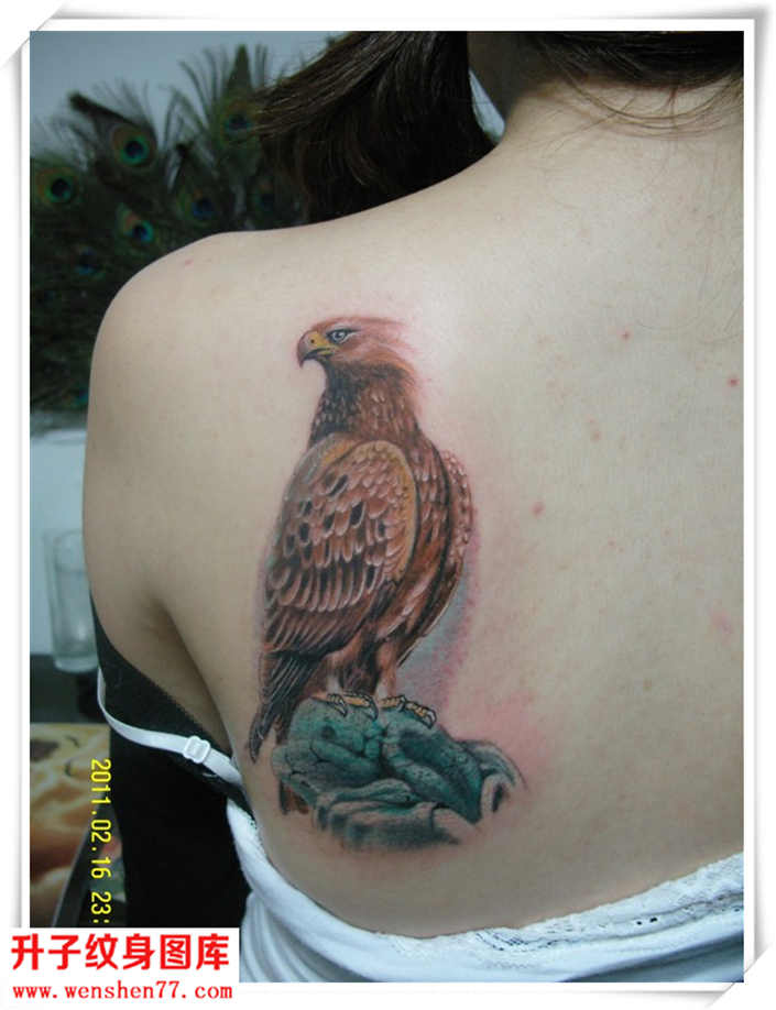 美女肩膀鹰纹身图案