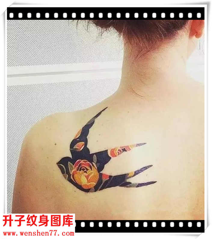 肩膀燕子纹身图案