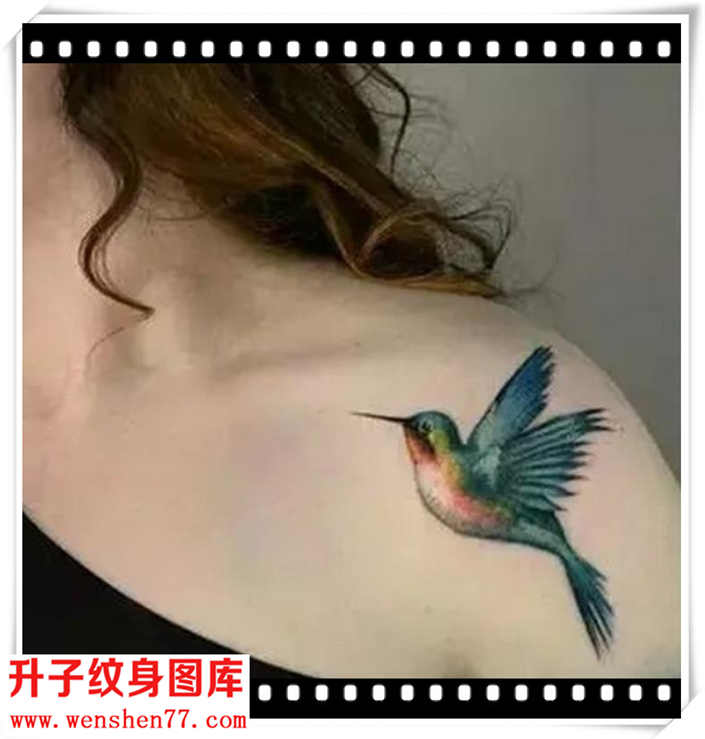 美女肩膀翠鸟纹身图案