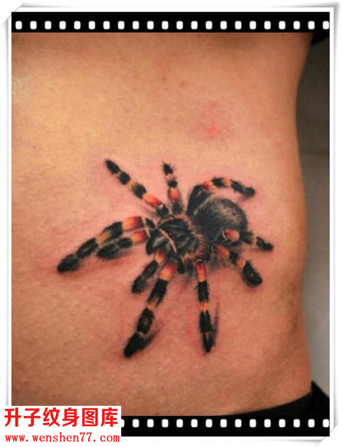 侧腰蜘蛛纹身图案