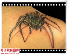 <b><font color='#FF0000'>肩膀纹身 立体的蜘蛛纹身图案</font></b>