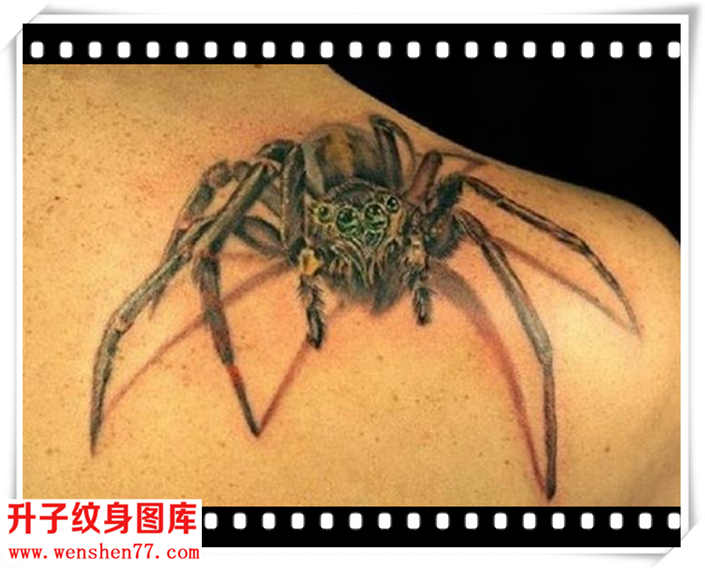 帅气的肩膀蜘蛛纹身图案