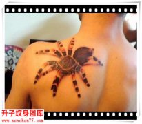 <b><font color='#FF0000'>肩膀纹身 3D立体蜘蛛纹身图案</font></b>