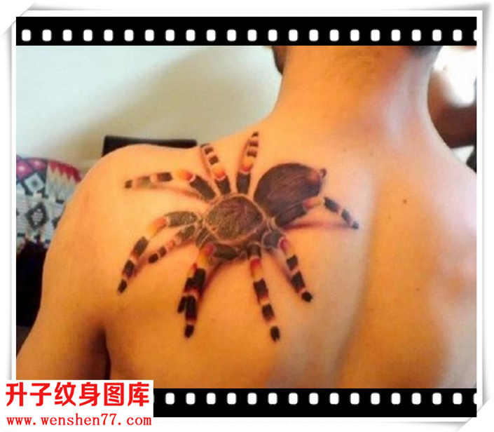 肩膀3D立体蜘蛛纹身图案