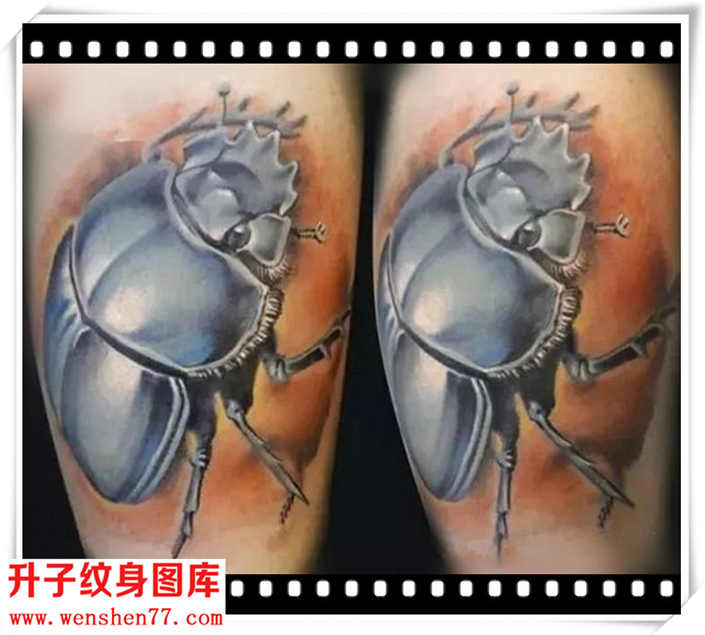 大腿写实昆虫纹身