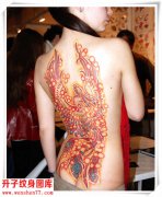 <b>后背纹身 美女性感的凤凰纹身图案</b>
