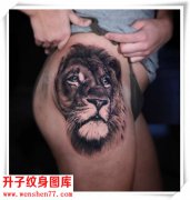 <b>性感的臀部狮子纹身图案大全</b>
