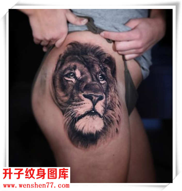 性感的臀部狮子纹身