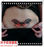 <b>腹部彩色蝴蝶纹身图案</b>