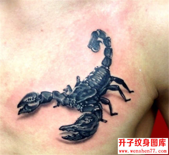 胸口蝎子纹身图案