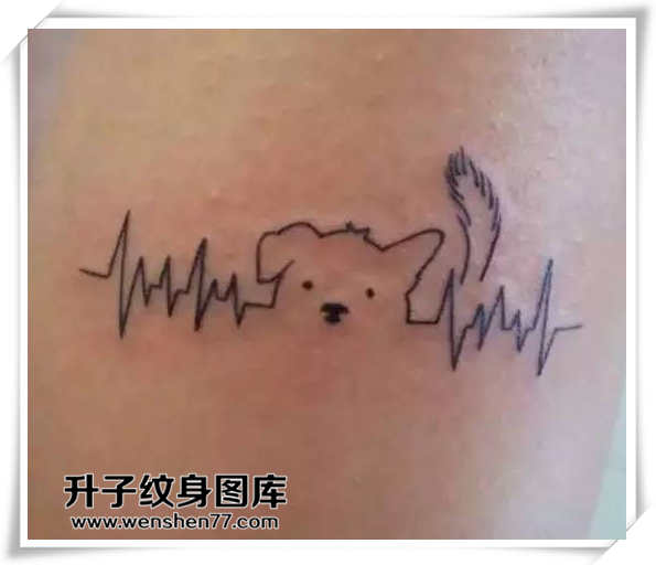 心电图猫纹身