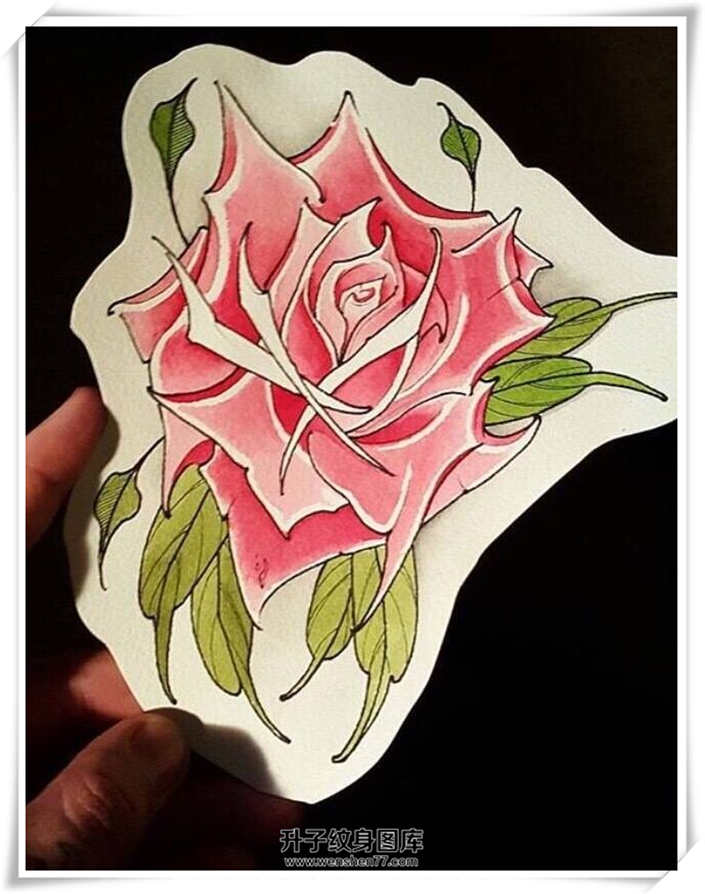 玫瑰花纹身手稿