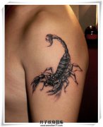<b>大臂蝎子纹身图案</b>