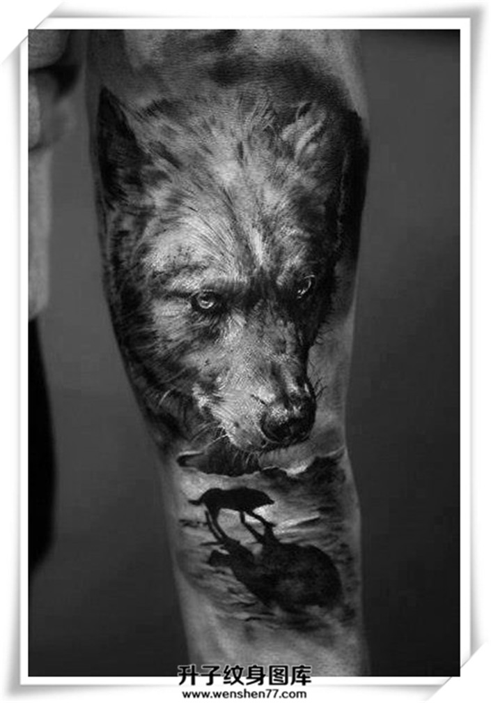 欧美狼头纹身图案