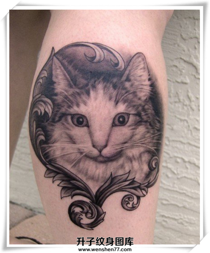 小腿猫纹身图案