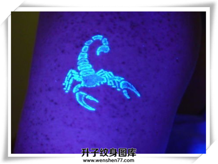 手背蝎子隐形纹身图案