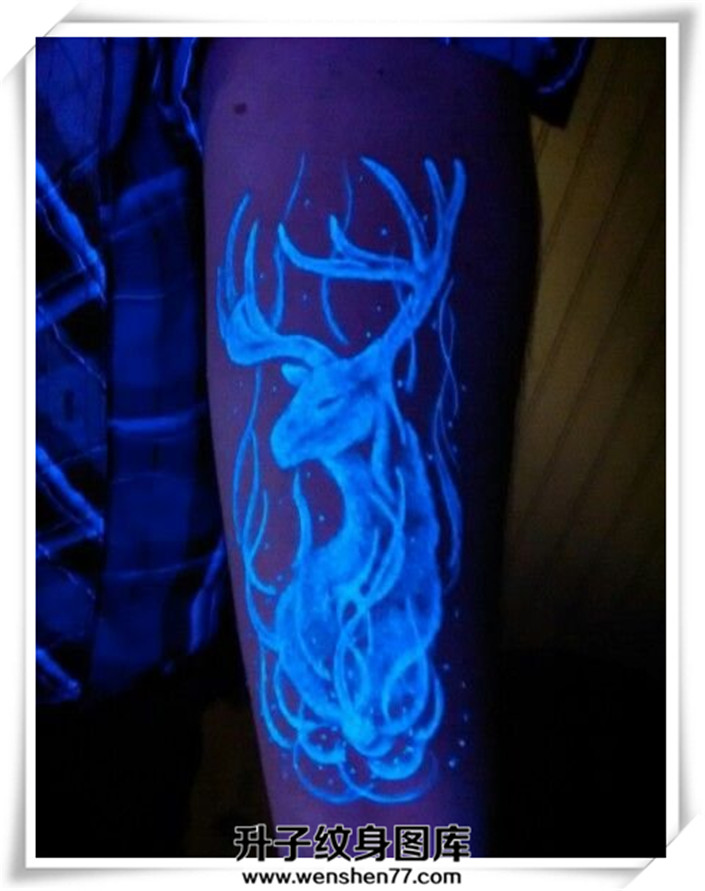 手臂鹿隐形纹身图案