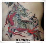 <b>本期江北纹身推出麒麟特价纹身图片！！</b>