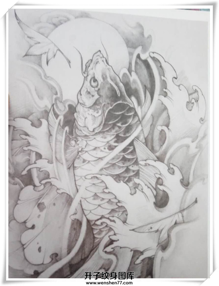 鲤鱼纹身手稿图片