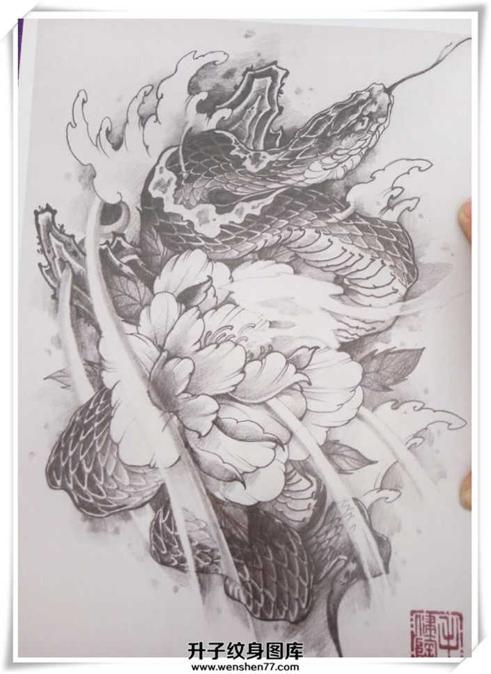 蛇牡丹花纹身手稿