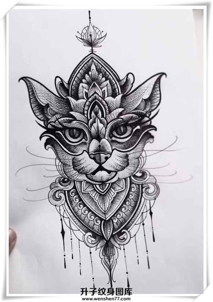 猫猫纹身手稿