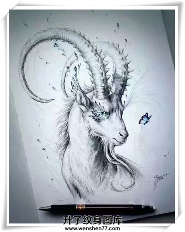 新风格羊头纹身手稿图案