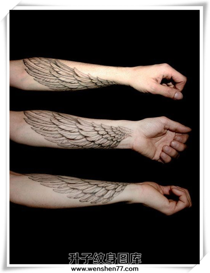 手臂翅膀纹身图案