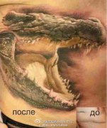 <b>遮盖疤痕纹身鳄鱼头纹身图案</b>