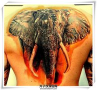 原来大象也可以做为纹身的一个题材！