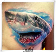 <b>胸口彩色鲨鱼纹身图案</b>
