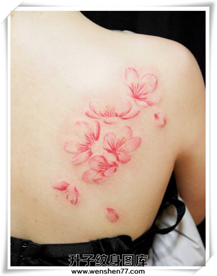 肩膀樱花纹身图案