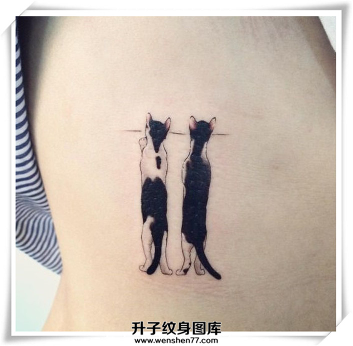 侧腰小猫纹身