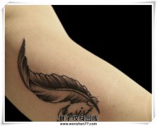 <b>大臂内侧羽毛纹身图案</b>