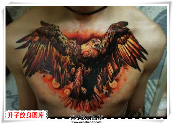 胸口写实鹰纹身图案