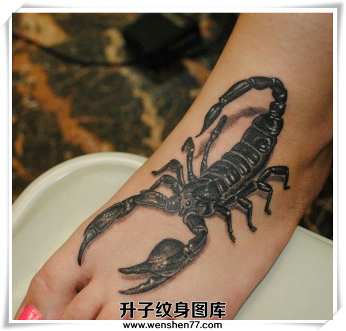 脚背蝎子纹身图案