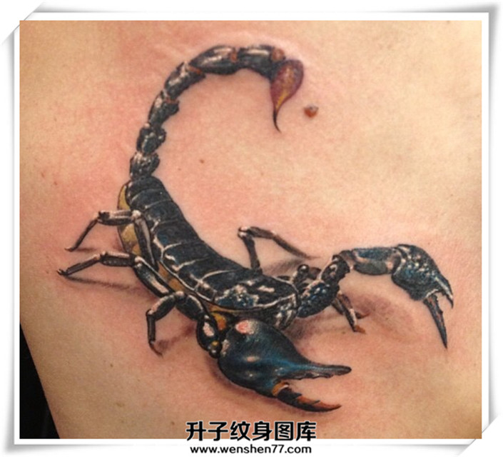 胸口蝎子纹身图案