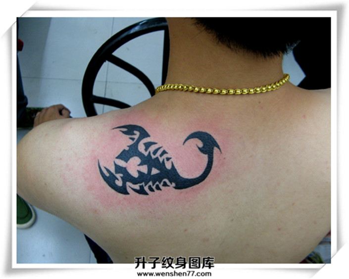 肩膀蝎子纹身图案