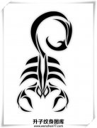 <b>图腾蝎子纹身适合纹身在什么位置？手臂 虎口处比较不错</b>