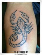 <b>手臂一个简单的蝎子线条纹身图案</b>