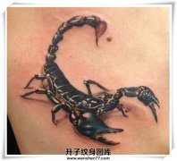 <b>侧腰写实蝎子纹身 蝎子纹身图案 蝎子纹身价格</b>