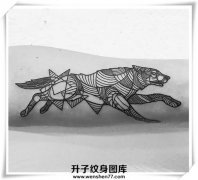<b>手臂线条狼纹身图案 重庆狼纹身一般多少钱</b>